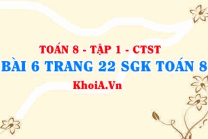 Bài 6 trang 22 SGK Toán 8 Tập 1 Chân trời sáng tạo